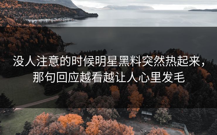 没人注意的时候明星黑料突然热起来,那句回应越看越让人心里发毛 没人注意的时候明星黑料突然热起来,那句回应越看越让人心里发毛